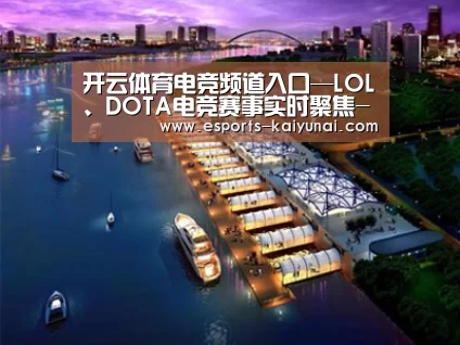案例展示八