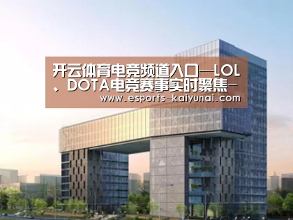 案例展示四