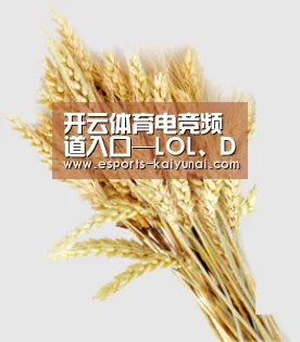 开云体育电竞频道入口—LOL、DOTA电竞赛事实时聚焦-kaiyunsport