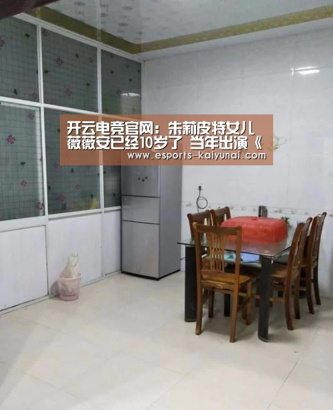  开云电竞官网