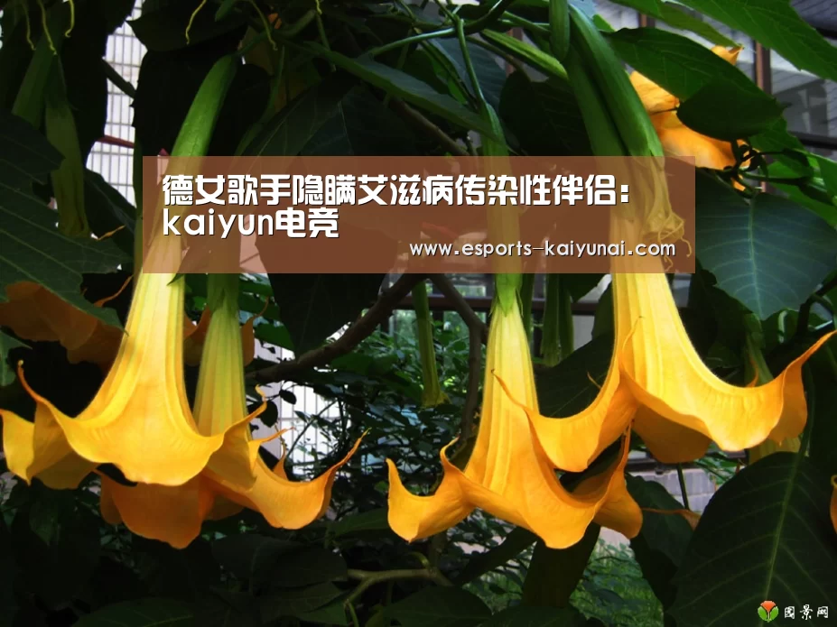  开云电竞官网